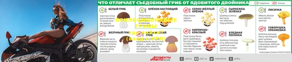 спиды Армянск
