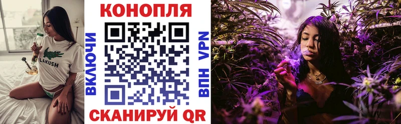 наркота  Зима  мориарти телеграм  Бошки Шишки гибрид 